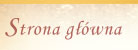 Strona główna