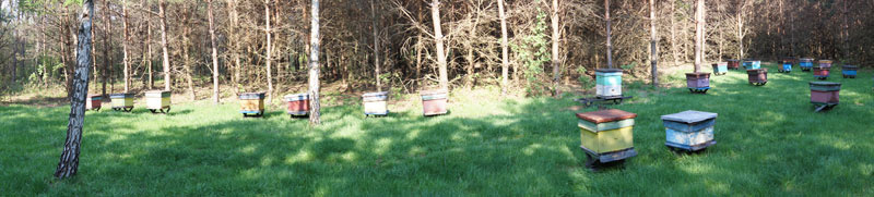 dsc00492_800