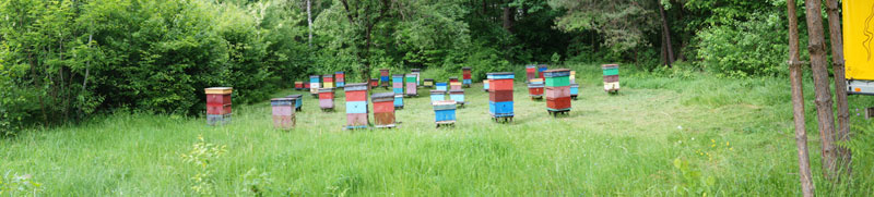 dsc01354_800